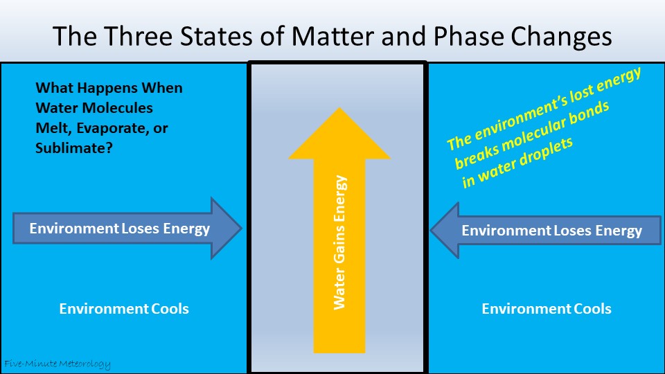In cooling phase changes, the water molecules gain energy from the environment, which cools.